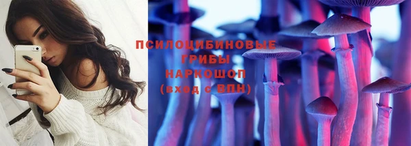 метадон Вяземский