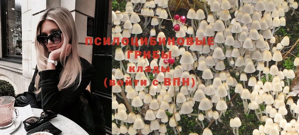 метадон Вяземский